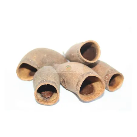 Gousse de Savu – Nourriture pour crevettes