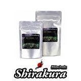 Shirakura Ebi Dama