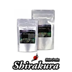 Shirakura Ebi Dama