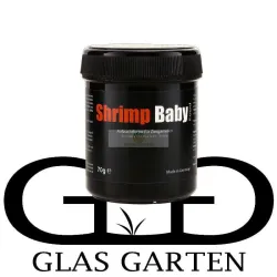 GlasGarten Shrimp Baby