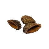 Bolsa pod 8-12cm – Nourriture pour crevettes