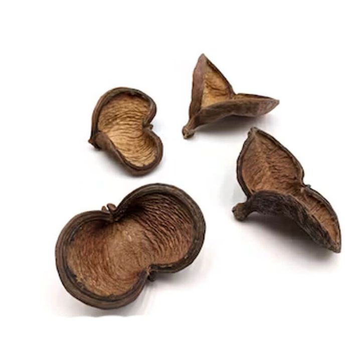 Noix de Badam
