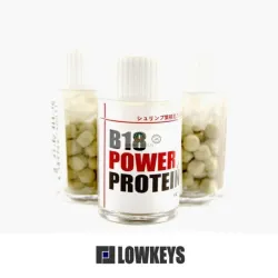 Lowkeys B18 Power Protein