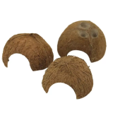 Noix de Coco