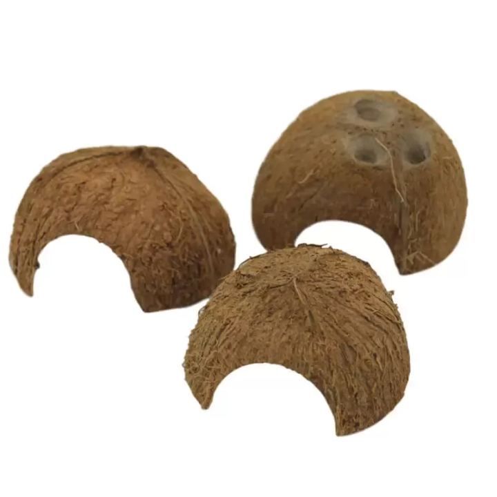 Noix de Coco