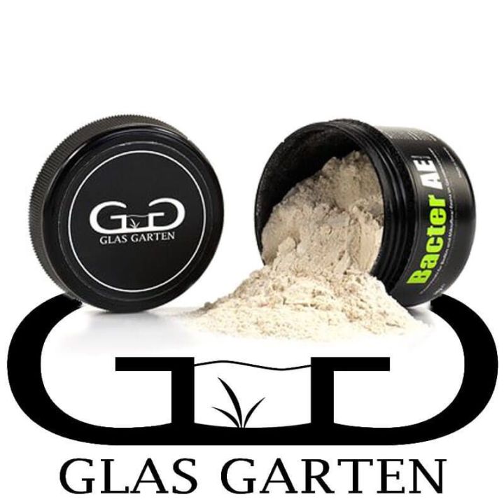 Bactérie pour aquarium - Bacter AE GlasGarten