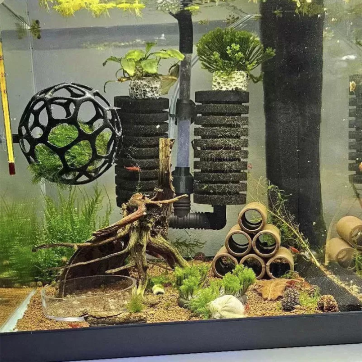 Moss Ball