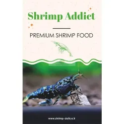 Shrimp Addict