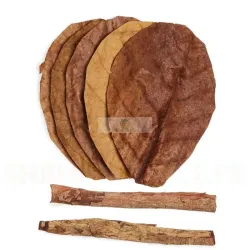 Catappa Mix – Feuilles & Écorces Naturelles pour Aquarium