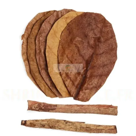 Catappa Mix – Feuilles & Écorces Naturelles pour Aquarium