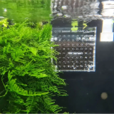 Box de selection / Reset Basket pour sol technique - Shrimp Sanctuary