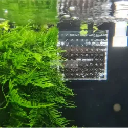 Box de selection / Reset Basket pour sol technique - Shrimp Sanctuary