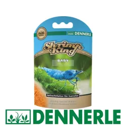 Shrimp King baby Dennerle