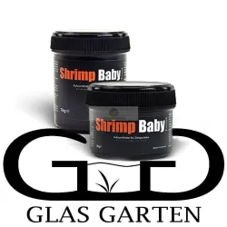 GlasGarten Shrimp Baby